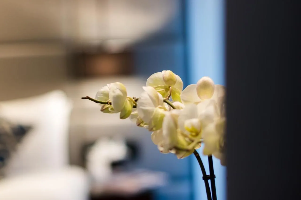 a bunch of white flowers in a vase at Montcalm Chilworth Townhouse in London